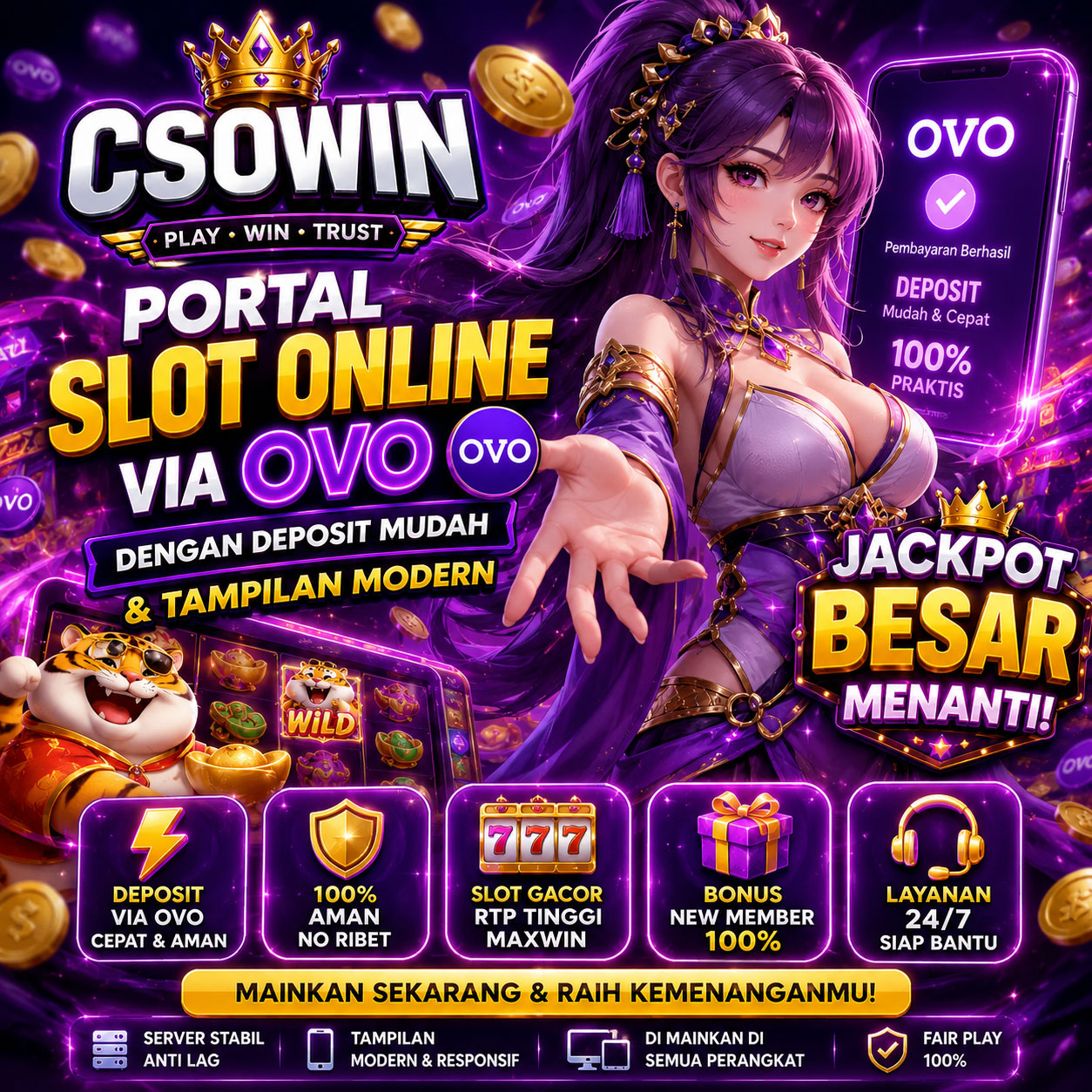 CSOWIN
